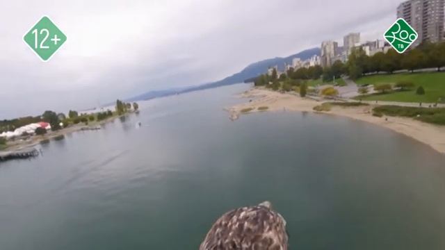 Анонс. Орланы по соседству смотреть онлайн