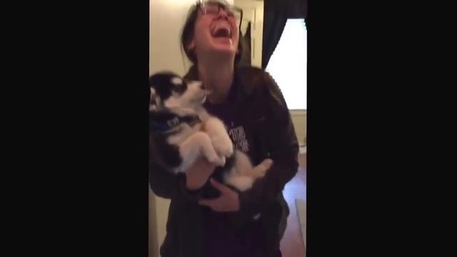 Щинок, что он пытается сказать смотреть онлайн