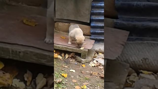 20180923 121922 смотреть онлайн