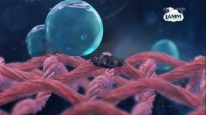 Филипп Киркоров стирает вещи гелем LAMM!)  LAMM— Бережная чистота. Июнь, 2024. Реклама