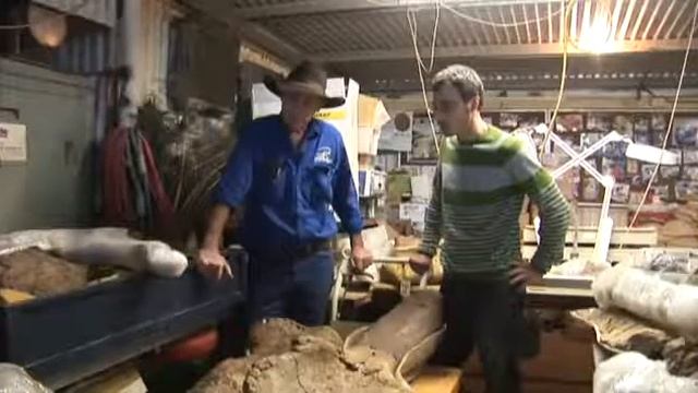 Australian Dinosaur Diamantinasaurus смотреть онлайн