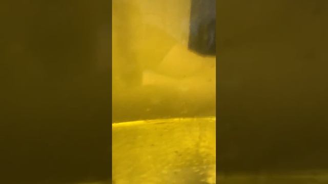 Чудо природы... рыбки смотреть онлайн