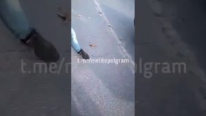 Поймали на поисках закладки