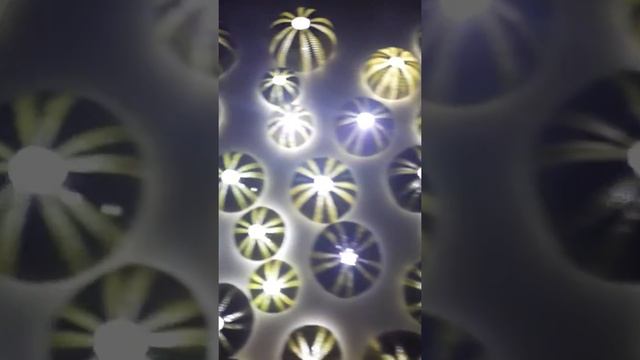 말똥성게 смотреть онлайн