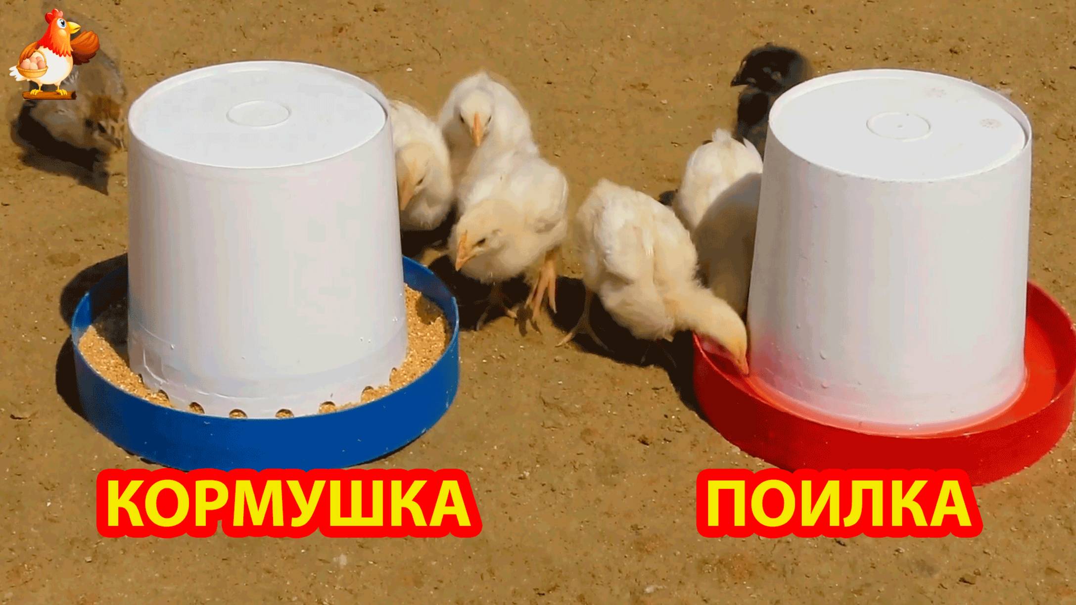 Поилка и кормушка цыплятам и курам из ведер удобная 💦🐓❣️🐤