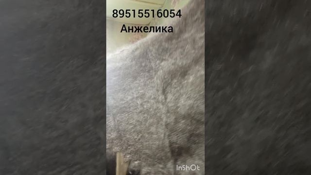 пуховые изделия