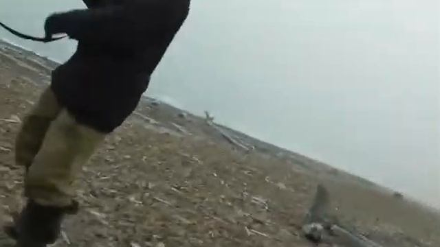 Мишка смотреть онлайн