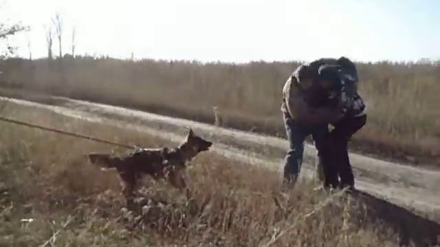 Кусачки -2 смотреть онлайн