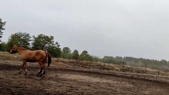 9 декабря 2021 г. смотреть онлайн