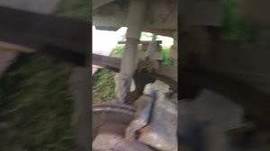 рулевой наконечник меняем газель