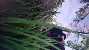 не гоняйте пацаны!