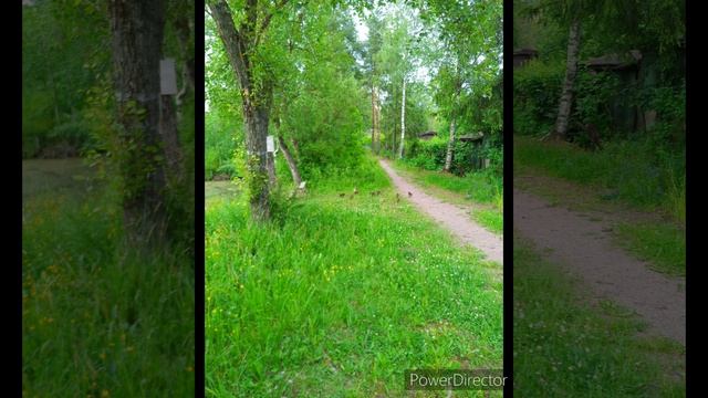 Пиратская жизнь Нина и Вовчик - Пиратка бесится, её порвало😂