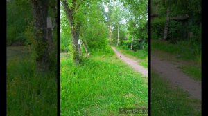 Пиратская жизнь Нина и Вовчик - Пиратка бесится, её порвало😂