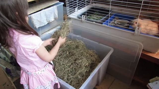 Сено должно быть свежее смотреть онлайн