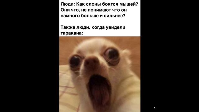 мем люди