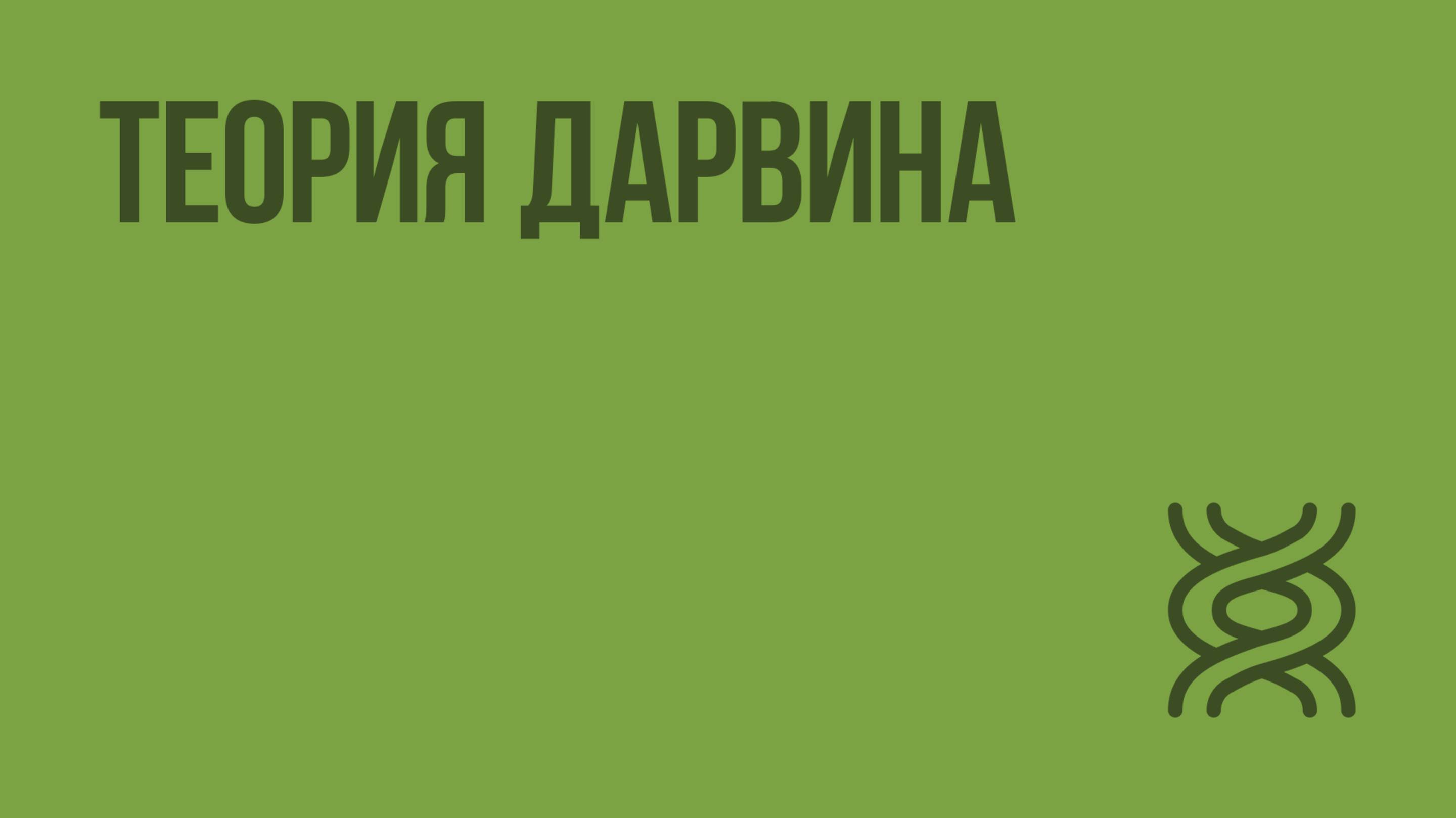 Теория Дарвина. Видеоурок по биологии 11 класс