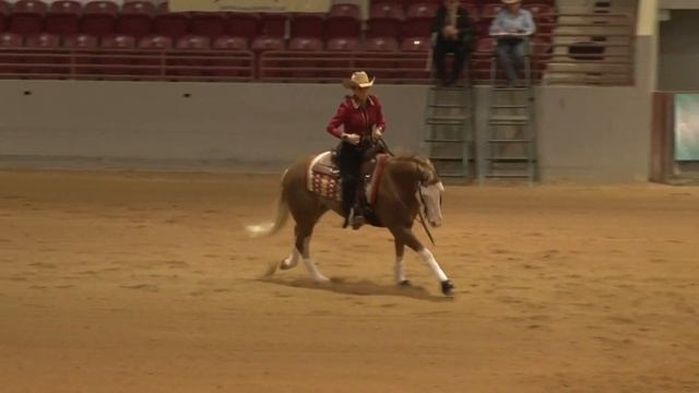 220225 Non Pro Karen A Mills on Special Kinda Gun