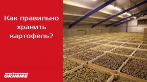 Что нужно знать про хранение картофеля? Вебинар "Технология хранения картофеля".