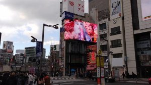 Shinjuku cat — гигантская кошка на Синдзюку в Токио