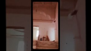 узбекистондаги охирги янгиликлар