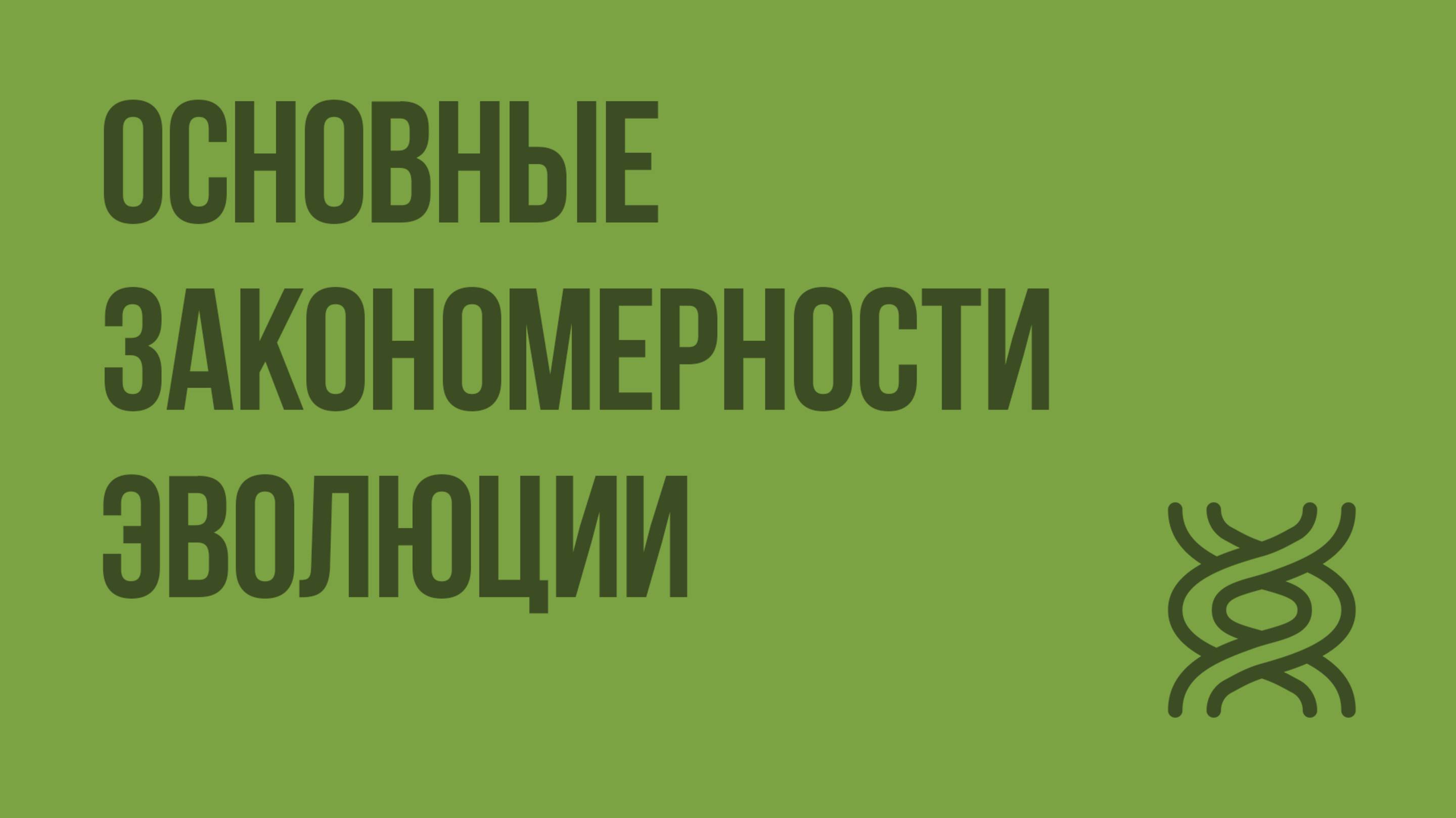 Основные закономерности эволюции. Видеоурок по биологии 11 класс