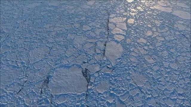 Antartica : the land of ice. A short documentary смотреть онлайн