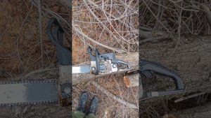 zimani 250 pro - а оно вам точно надо??