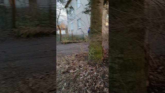 ЛЕРУСИК СЛЕДИТ ЗА ВОЕНСТАЛОМ!!!