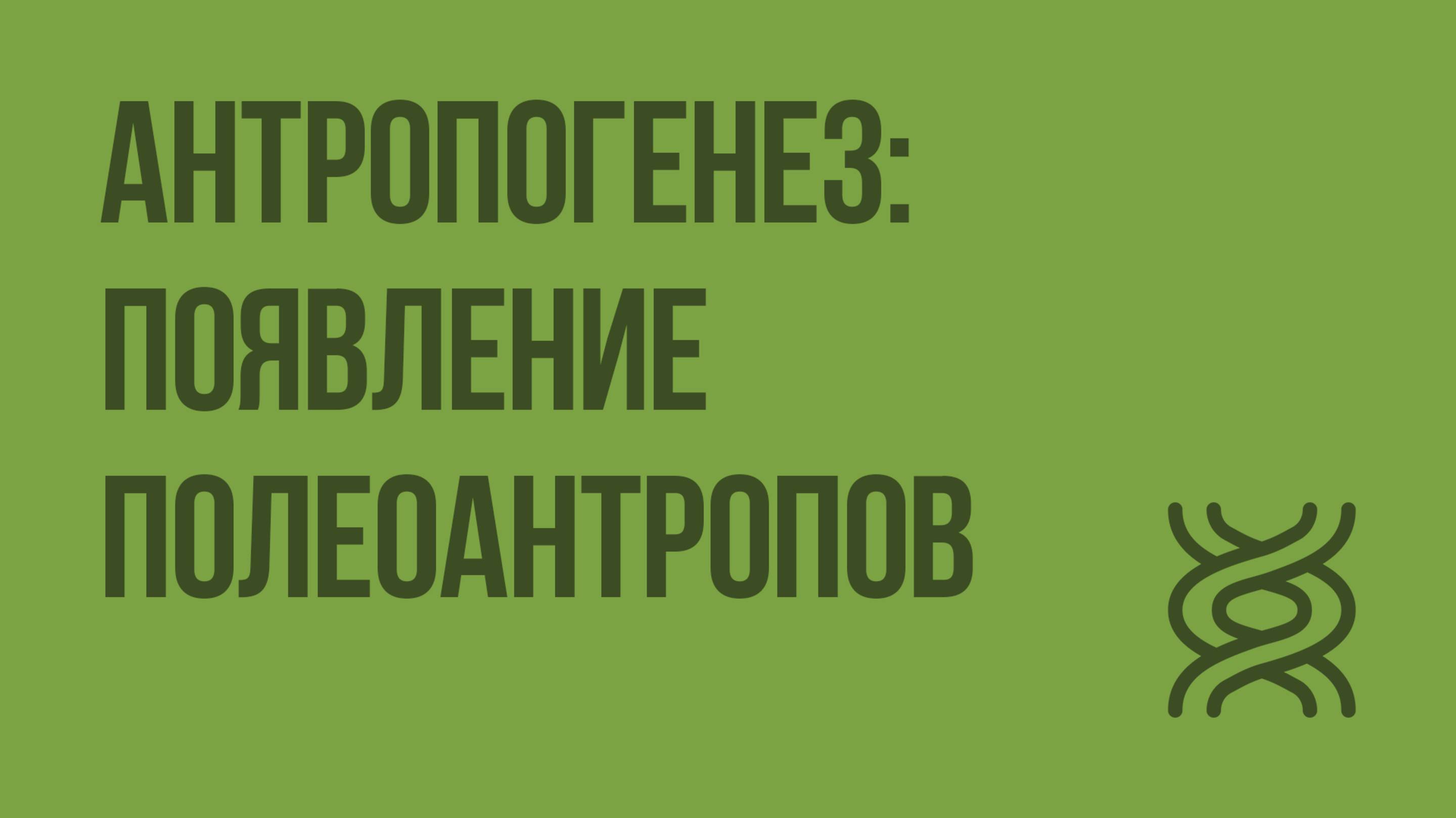 Антропогенез появление полеоантропов. Видеоурок по биологии 11 класс