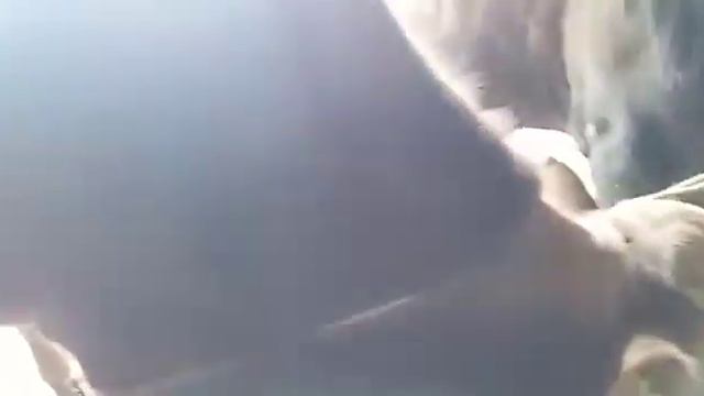 Уй шароитида мол бокиш