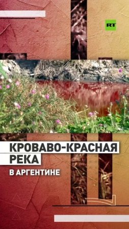 В Аргентине река Саранди окрасилась в кроваво-красный цвет