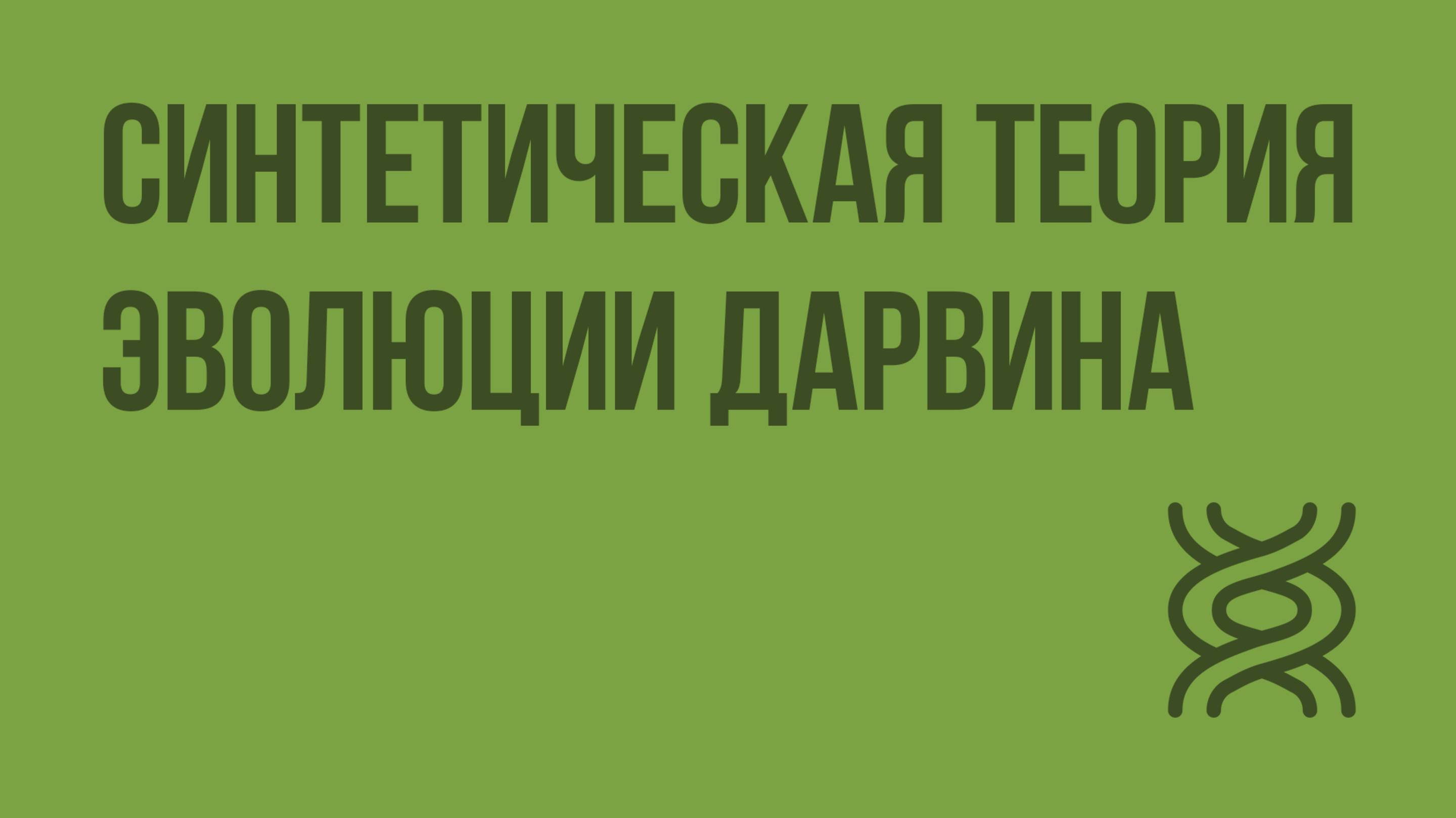 Синтетическая теория эволюции Дарвина. Видеоурок по биологии 11 класс