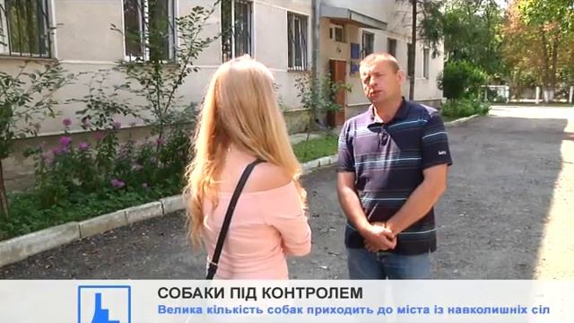 В місті масово відловлюють та вакцинують собак смотреть онлайн