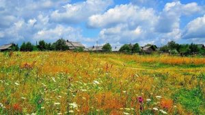 Воробьев Андрей За околицей гармошка