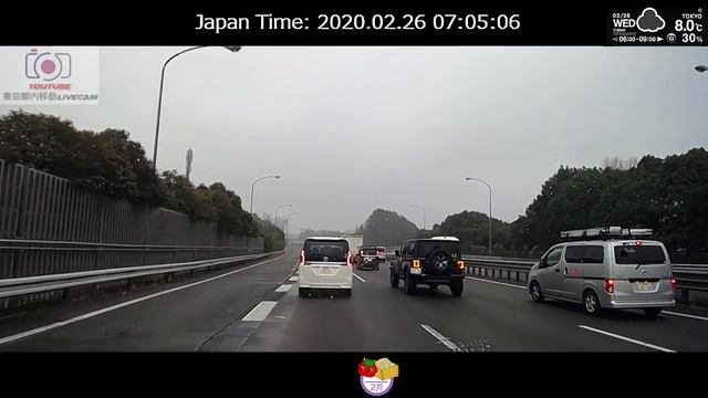 東京都内移動ライブカメラ/Tokyo City Live Camera смотреть онлайн