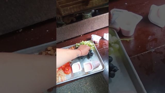 прям спячка у нас😂 #ямыилюша #помощьбездомнымживотным #raccoon #анапа #море смотреть онлайн