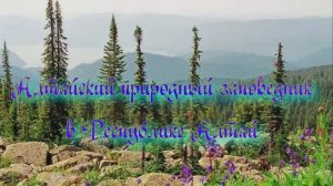 Алтайский природный заповедник в Республике Алтай