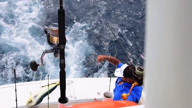 MARLIN, Sailfish and Mahi Mahi - Captain's Recipe смотреть онлайн