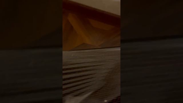 Когда кошки встречают идеальную когтеточку: Kinder Cat в действии #asmrforcats смотреть онлайн