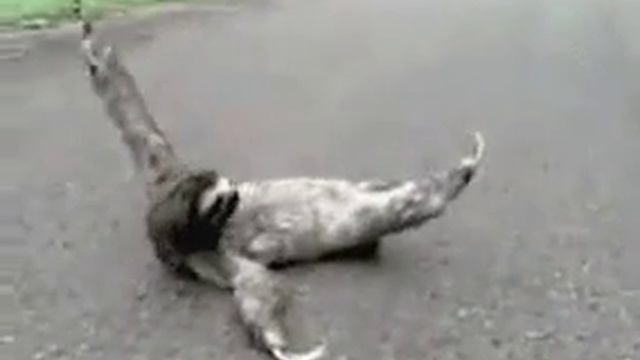 И так каждое утро смотреть онлайн