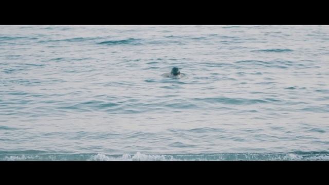 SERGIO T & DUBFAZE - Secret Feat Dim Gerrard смотреть онлайн