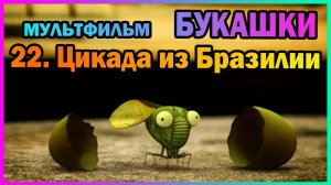 | Мультфильм | БУКАШКИ | 22. Цикада из Бразилии |