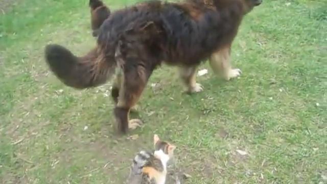 дождь продолжается) смотреть онлайн