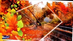 РОМАНТИЧЕСКИЙ ШАНСОН. Алена Валенсия.   Ты мой единственный мужчина.