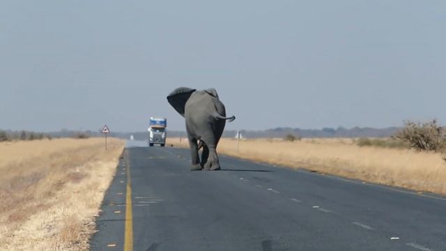 Озвучка текста смотреть онлайн