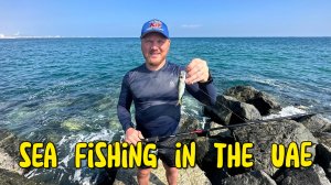 Рыбалка в Фуджейре. Рыбалка в ОАЭ. Ловля рыбы сетями в эмиратах. Ночной рыбный рынок.