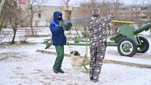 В Будённовске поймали агрессивную собаку, покусавшую ребенка