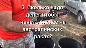 5. Сколько надо денег чтобы начать бизнес на Австралийских раках?