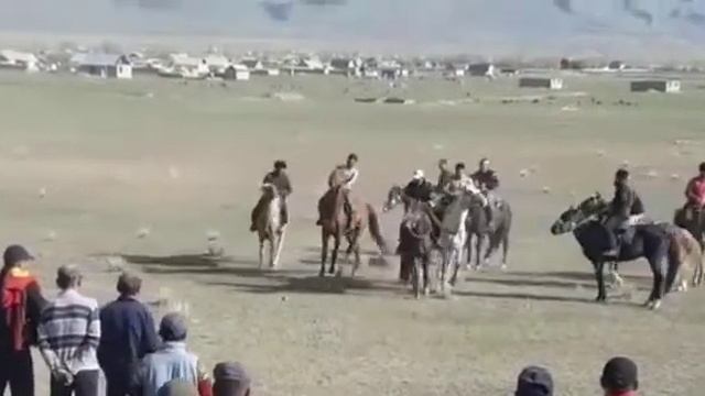 Боз ат сатылат улактын аты уйуру бар ортого жакшы жашы 5 асый боюу 1. 75 баасы 180 мин сом смотреть онлайн