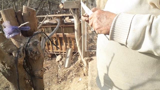 tut payvant qilish смотреть онлайн